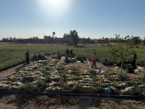 Mardin’den Türkiye’nin Meralarına Hayat Veren Proje