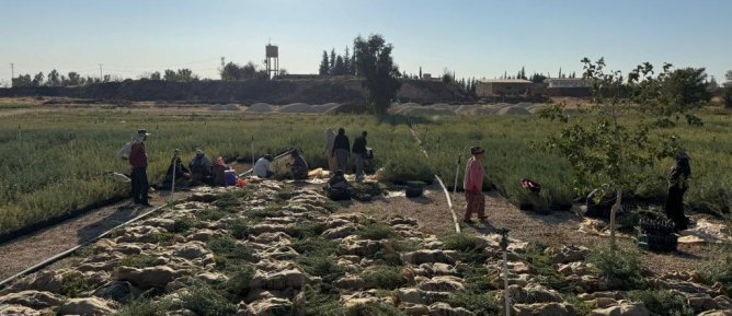 Mardin’den Türkiye’nin Meralarına Hayat Veren Proje