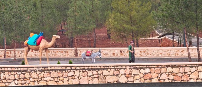 MİDYATA KERVAN GELDİ!