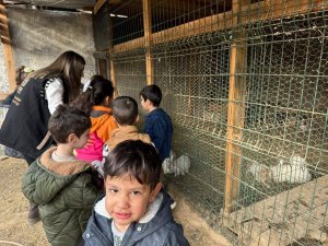 Mardin Büyükşehir Belediyesi’nden Çocuklara Doğa ve Hayvan Sevgisi Etkinliği