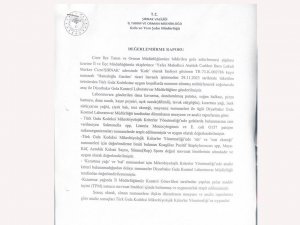 Şırnakta pizza yedikten sonra ölüm iddiası: İş yerinin gıda maddeleri temiz çıktı