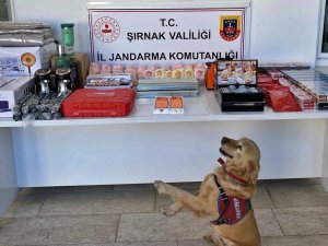 Şırnakta kaçakçılık, asayiş ve narkotik operasyonları: 159 gözaltı