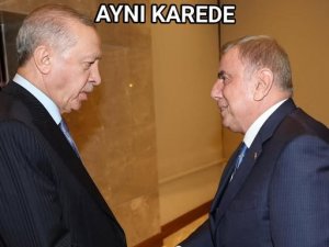 Cumhurbaşkanı Erdoğan, Midyat Belediye Başkanı Veysi Şahin’i Kabul Etti