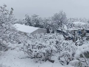 Batmanda kar nedeniyle üç ilçede eğitime ara verildi