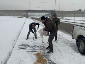 Batmanda yaban hayvanları için doğaya yem bırakıldı
