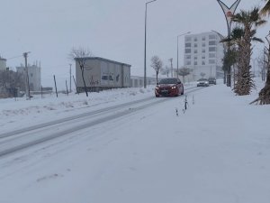 Öter: Son 10 yılın en verimli kar yağışı Mardin Ovası’na can suyu oldu