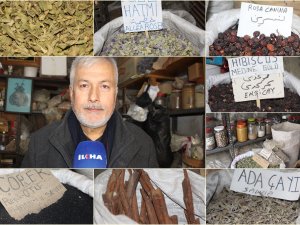 Aktar Yağmurcu: Şifalı bitkiler mevsimsel hastalıklara karşı bağışıklık sistemini güçlendirir