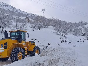 Şırnakta kar nedeniyle kapanan yolları açma çalışmaları devam ediyor   