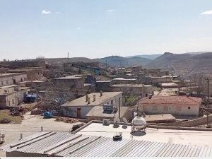 Mardin’de kuduz şüphesiyle bir mahalle karantinaya alındı