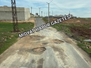 ÜNİVERSİTE YOLU ÇUKURLARLA DOLU: VATANDAŞ TEPKİLİ