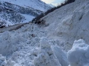 Şırnak–Hakkari yolu çığ sonrası yeniden ulaşıma açıldı