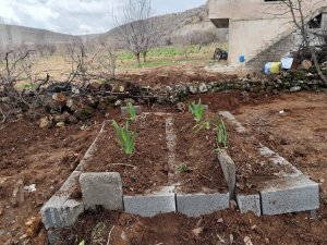Öldürülen anne ve oğul Mardin’de yan yana defnedildi