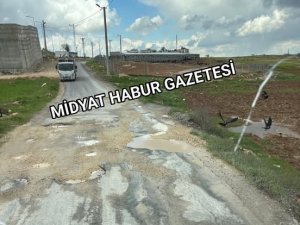 ÜNİVERSİTE YOLUNDAKİ ÇUKURLAR TEHLİKE SAÇIYOR!