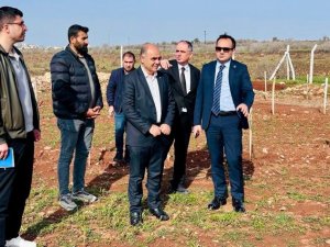 Ömerli, Ekolojik Tarım Hamlesiyle Türkiye’ye Örnek Oluyor