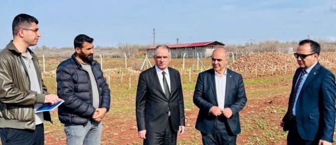 Ömerli, Ekolojik Tarım Hamlesiyle Türkiye’ye Örnek Oluyor