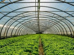 Batmanda çiftçilere yüzde 50 hibeli sera desteği başvuruları başladı