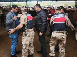 Şanlıurfa’da hayvan pazarlarında Kurban Bayramı tedbirleri artırıldı