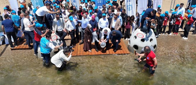 “Yaşamın İzinde: Deniz Yuvaları Projesi” Darıca Sahili’nde Büyüyor