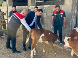 KAYMAKAM KAYA’DAN İSTİHDAMA GÜÇ KATAN İŞLETMELERE ZİYARET