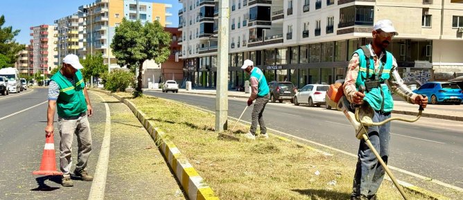 Midyatta Kapsamlı Ot Temizleme Çalışmaları Başlatıldı