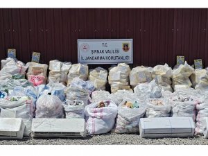 Şırnakta narkotik, kaçakçılık ve asayiş operasyonları: 111 gözaltı