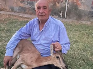 Batmanda 50 yıl sonra görülen dağ keçisi koruma altına alındı