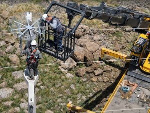 Elektrik direkleri göçmen kuşlar için güvenli yuvalara dönüşüyor
