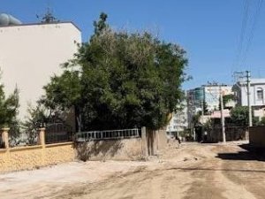 Yunus Emre Mahallesinde Asfalt Seferberliği!