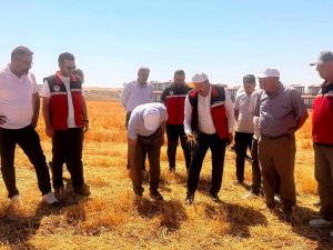 Batmanda çiftçilere anız yangınlarının zararları anlatıldı
