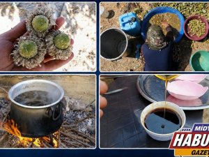 MİDYAT’IN NADİR BULUNAN DOĞA LEZZETİ