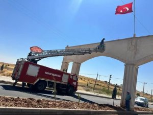 SÖĞÜTLÜ MAHALLESİ GİRİŞİ AYDINLATILDI