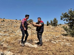 Şırnak’ta büyükbaş hayvancılık yatırımları için arazi etüdü yapıldı