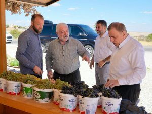 Veysi Şahin, organik köy ürünleri standını ziyaret etti