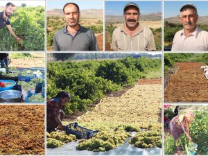 Batmanda kuru üzüm mesaisi: Üreticiler ürünlerinin markalaşmasını istiyor