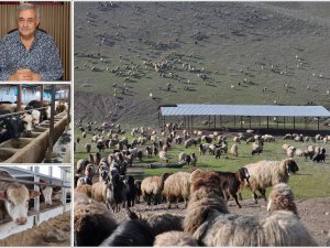 Batman, büyükbaş ve küçükbaş üretim planlamasında destek kapsamı dışında kaldı