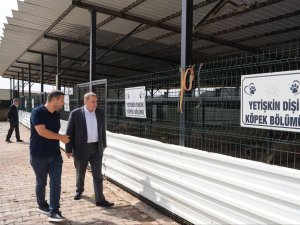 MİDYAT BELEDİYE BAŞKANI VEYSİ ŞAHİN’DEN CAN DOSTLARINA ANLAMLI ZİYARET