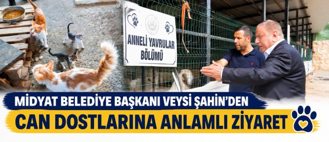 MİDYAT BELEDİYE BAŞKANI VEYSİ ŞAHİN’DEN CAN DOSTLARINA ANLAMLI ZİYARET