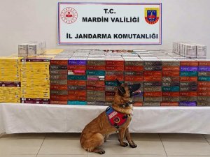 MARDİN’DE KAÇAKÇILIK OPERASYONU: 8 MİLYON TL DEĞERİNDE ÜRÜN ELE GEÇİRİLDİ