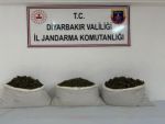 Diyarbakır’da uyuşturucu operasyonu