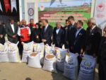 Siirt’te çiftçilere 203 ton sertifikalı kırmızı mercimek tohumu dağıtıldı