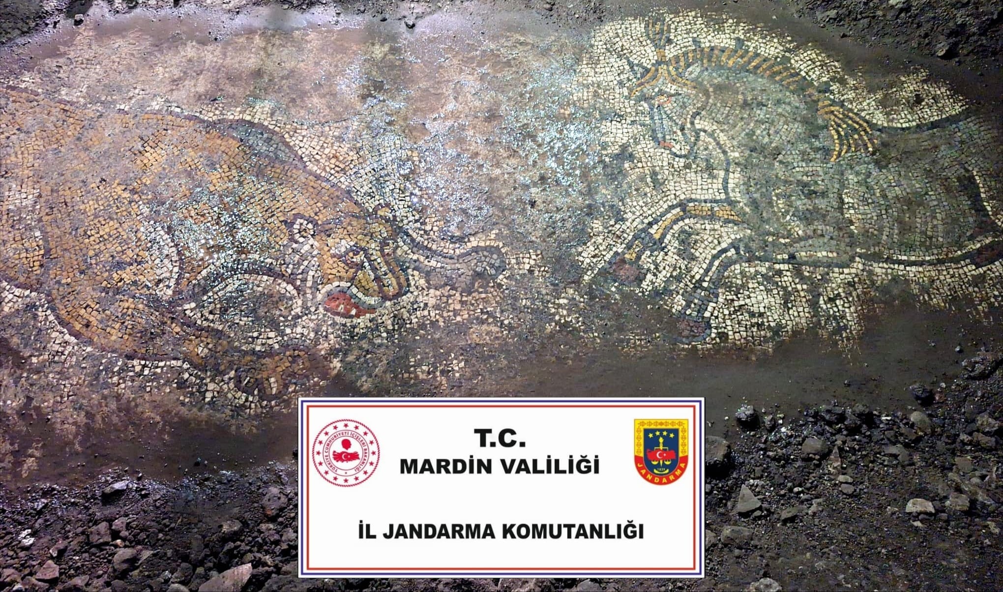 DERİKTE 1500 YILLIK TARİHİ MOZAİK ELE GEÇİRİLDİ