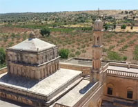 Çin Ajansı Xinhua, Midyatın Tarihini İnceledi